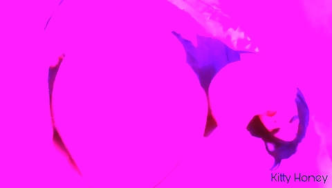 Free Goth Porn Videos - crazyporn7.com